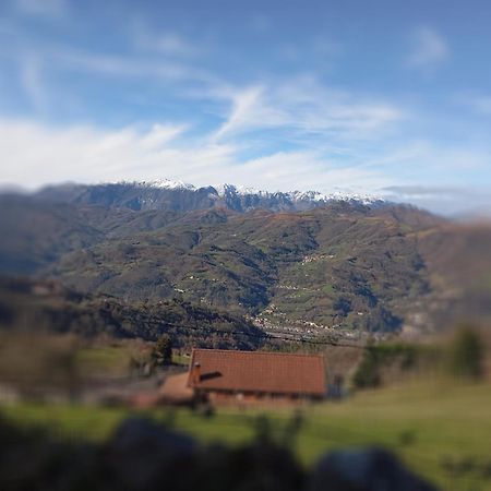 فيلا La Casina De Asturias مييريس المظهر الخارجي الصورة
