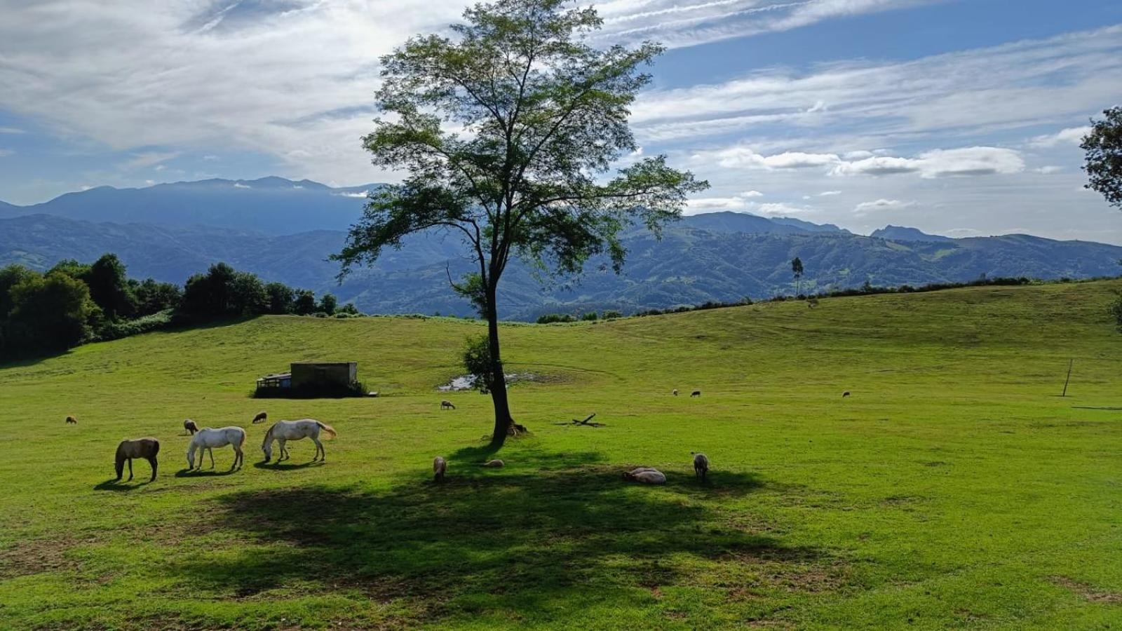 فيلا La Casina De Asturias مييريس المظهر الخارجي الصورة