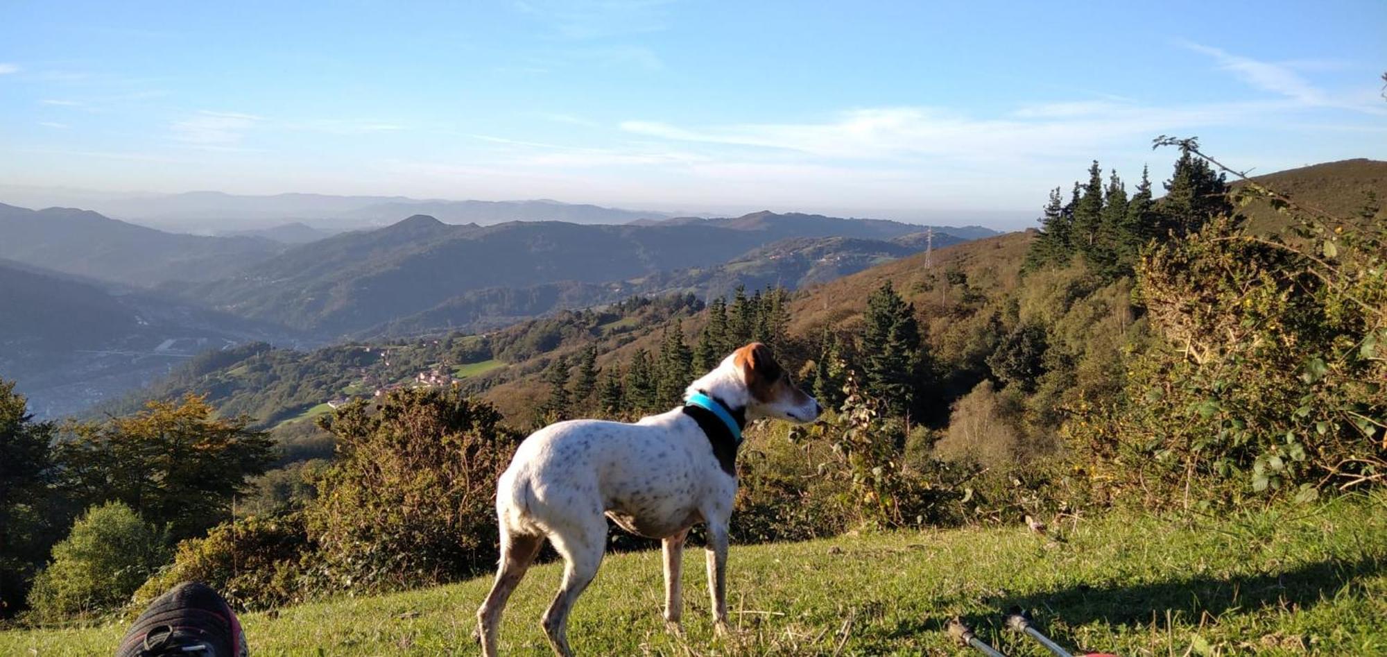 فيلا La Casina De Asturias مييريس المظهر الخارجي الصورة